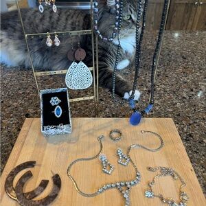 Elegant Jewelry Set with Blue and Silver Accents